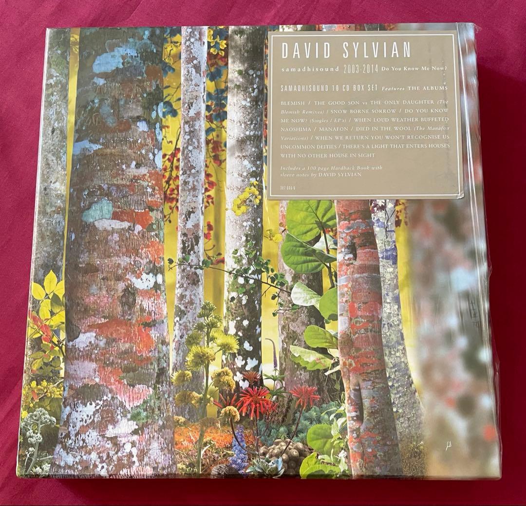 洋楽 Do You Know Me Now? (10CD) David Sylvian
