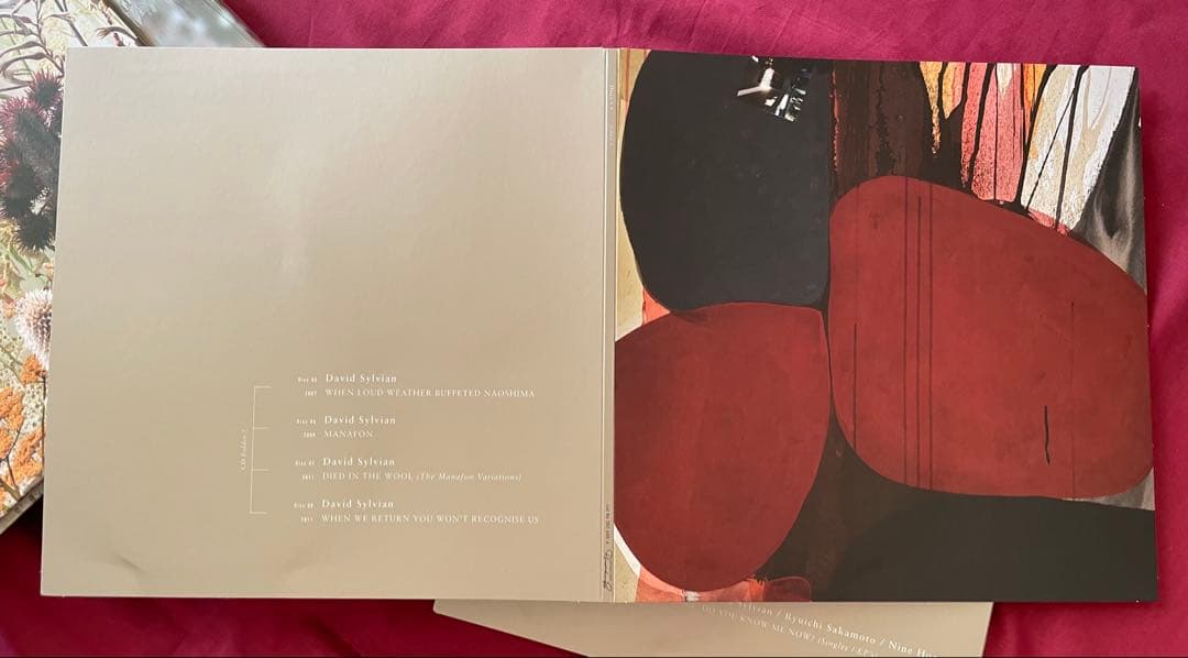 洋楽 Do You Know Me Now? (10CD) David Sylvian