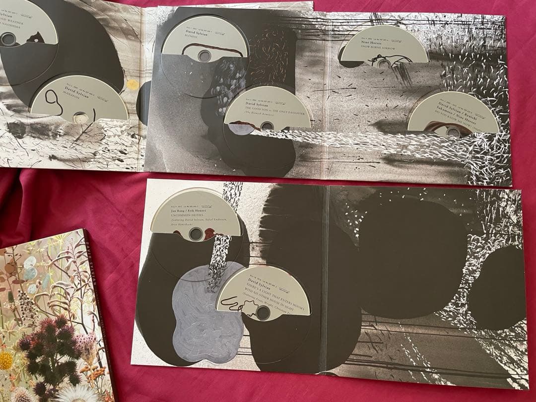 洋楽 Do You Know Me Now? (10CD) David Sylvian