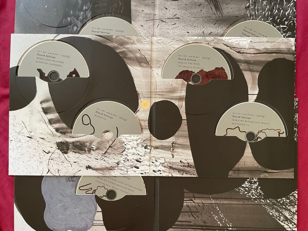 洋楽 Do You Know Me Now? (10CD) David Sylvian