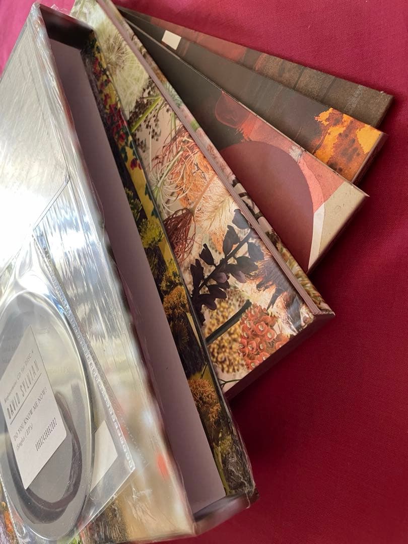 洋楽 Do You Know Me Now? (10CD) David Sylvian