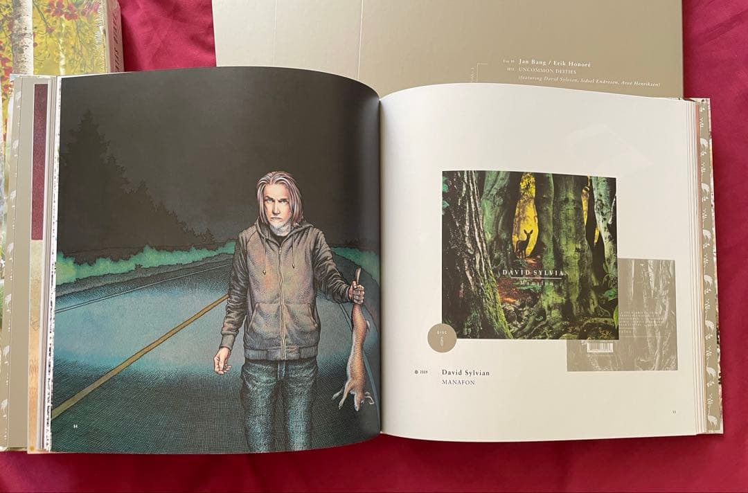 洋楽 Do You Know Me Now? (10CD) David Sylvian