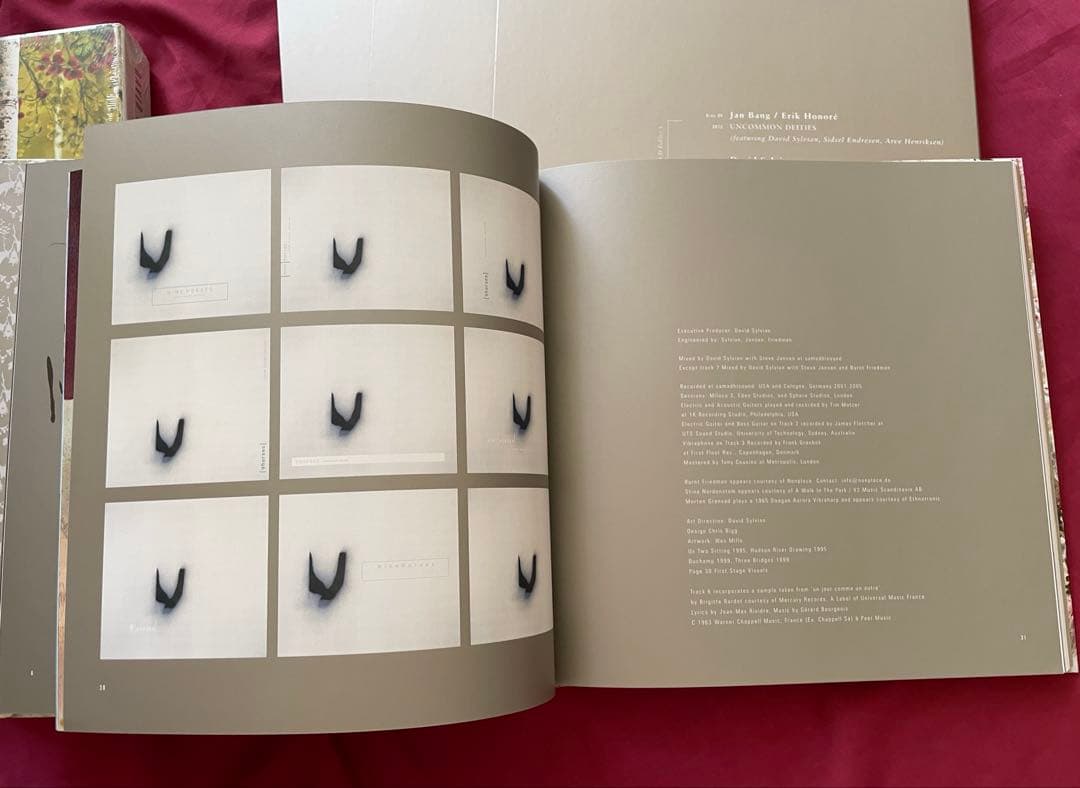 洋楽 Do You Know Me Now? (10CD) David Sylvian