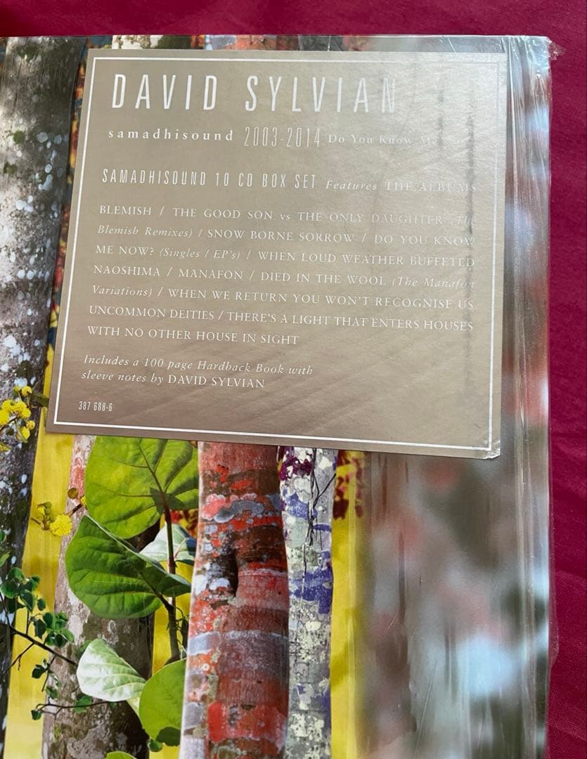 洋楽 Do You Know Me Now? (10CD) David Sylvian