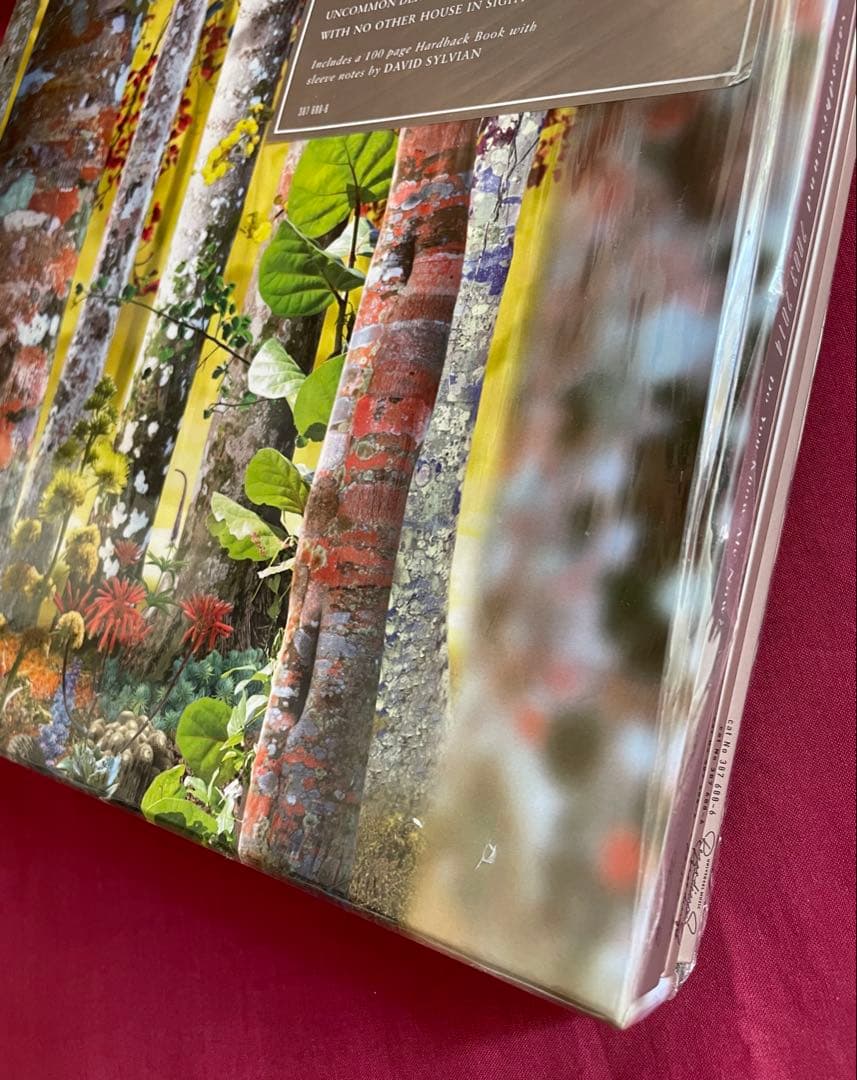 洋楽 Do You Know Me Now? (10CD) David Sylvian