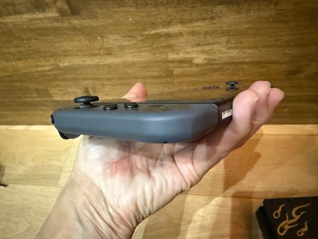 Nintendo SWITCH モンスターハンターライズ スペシャルエディション