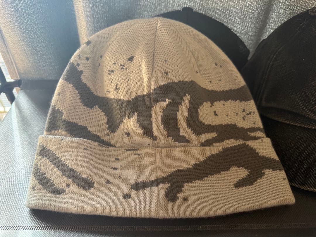 チ*パ様 アークテリクス　ビーニー