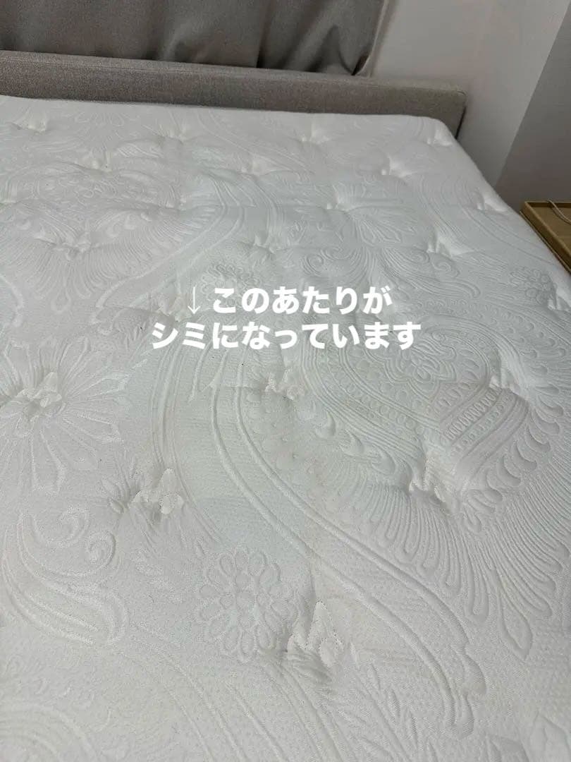 定価573500円　シモンズ　カスタムロイヤルニューフィットセミダブル&フレーム