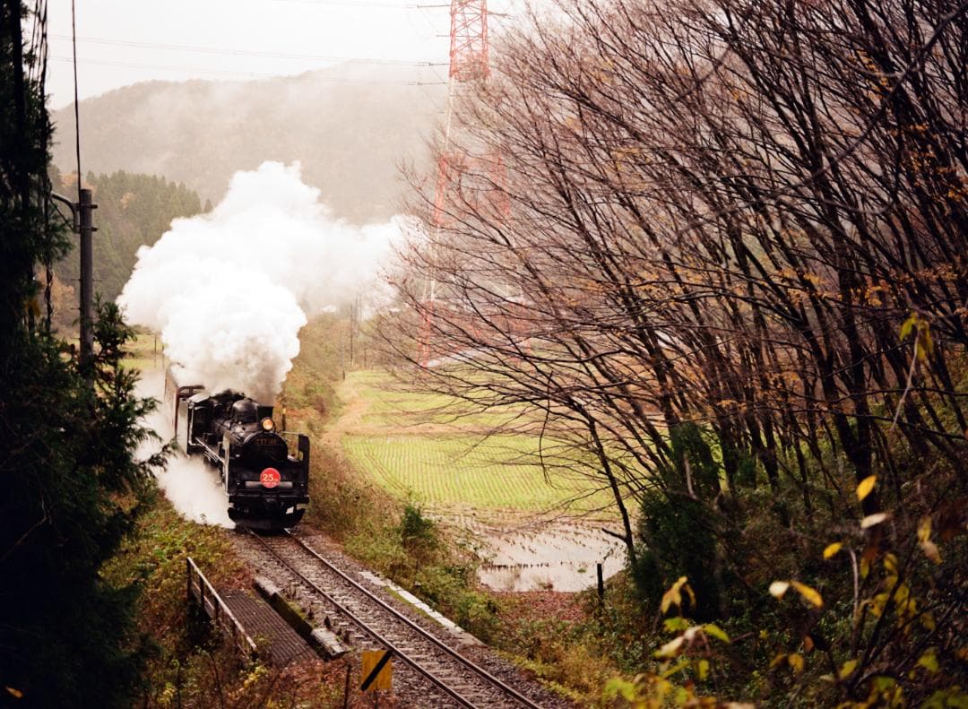 【実写確認済整備品】マミヤM645／セコールC80mmf4付