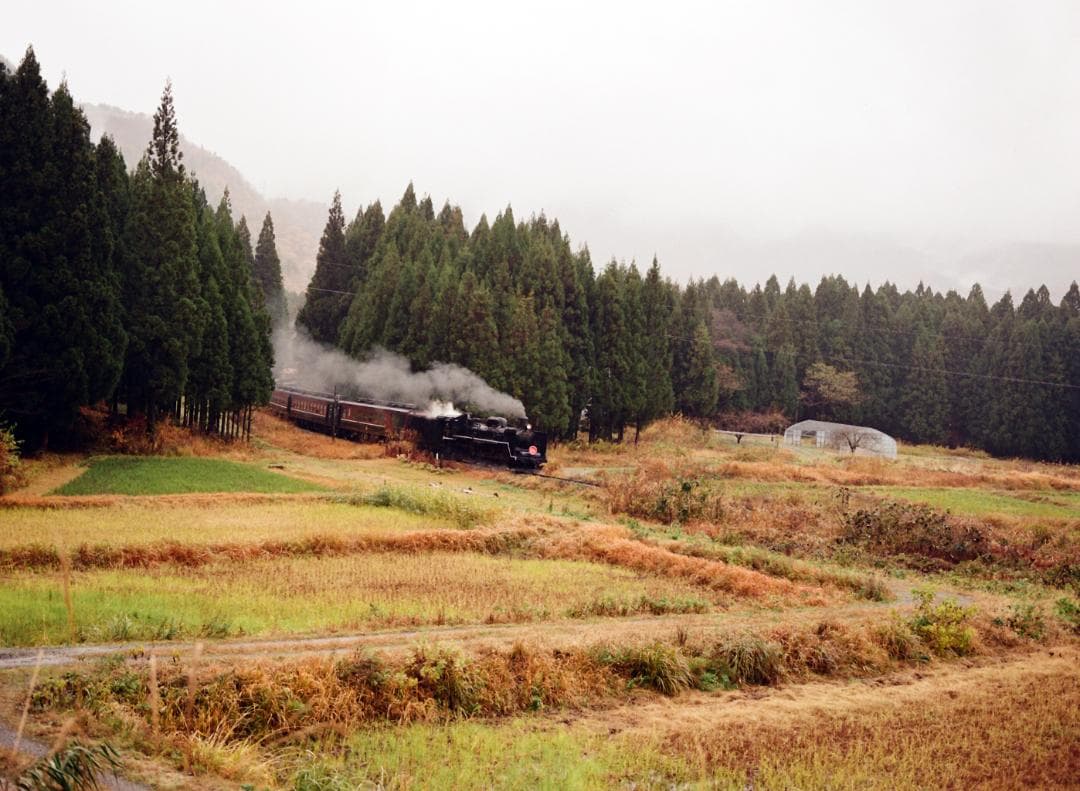 【実写確認済整備品】マミヤM645／セコールC80mmf4付