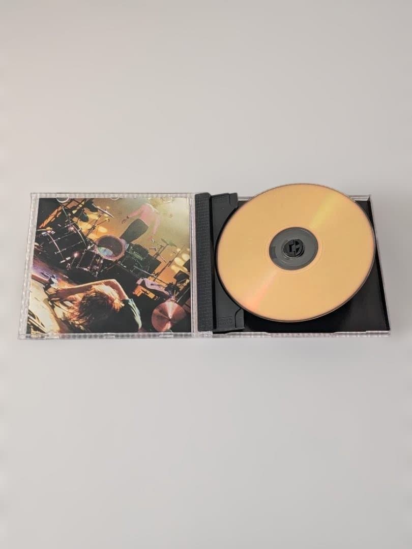 Nirvana IN UTERO ULTRADISC 24K Gold 限定版