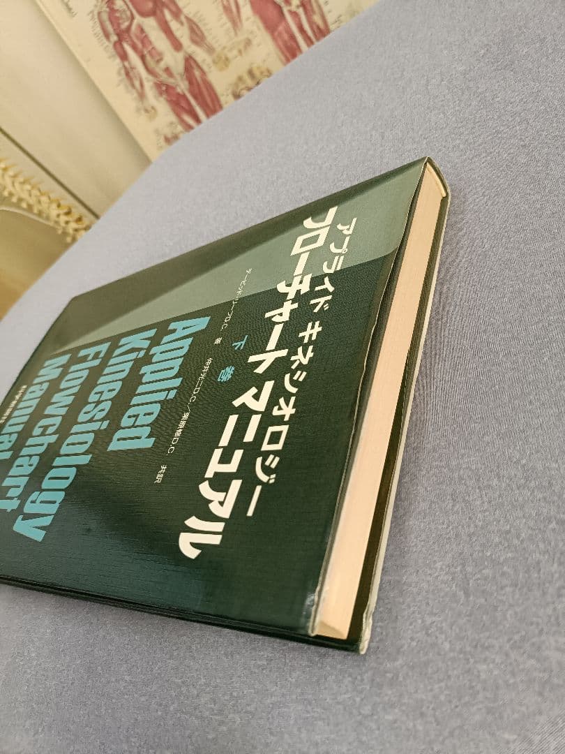 アプライドキネシオロジー　　 フローチャートマニュアル 下巻