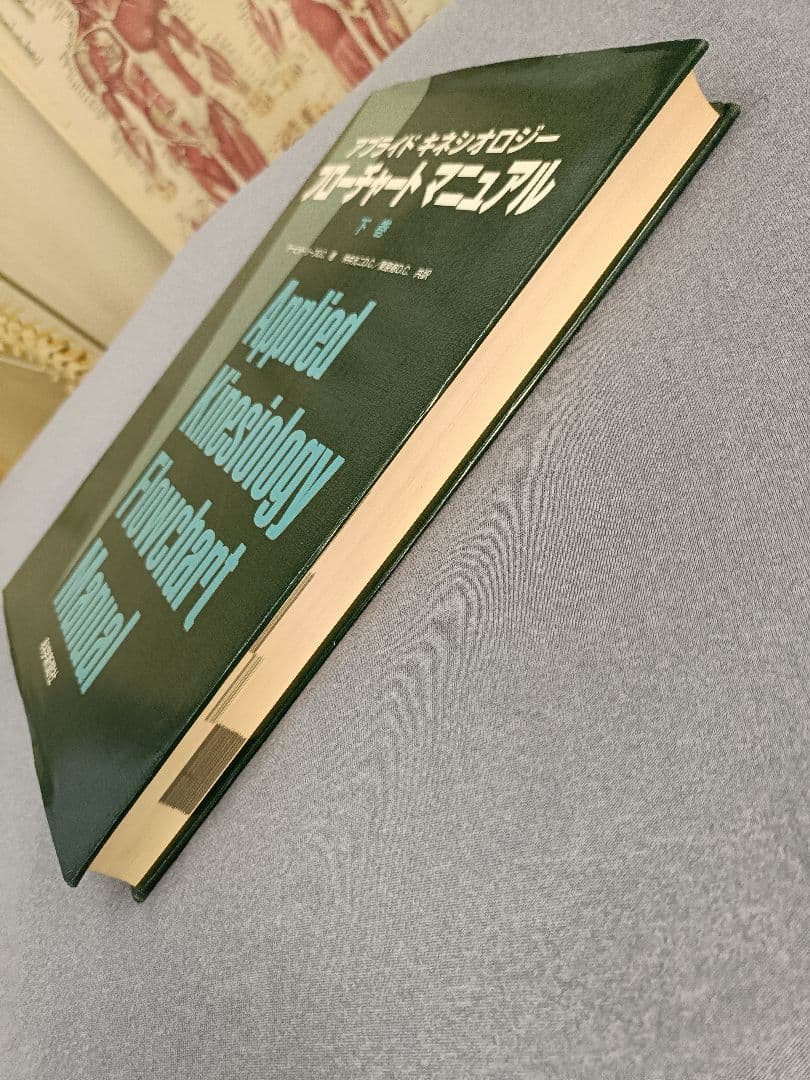 アプライドキネシオロジー　　 フローチャートマニュアル 下巻