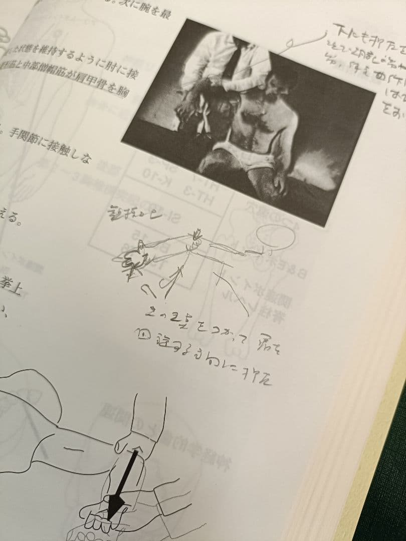 アプライドキネシオロジー　　 フローチャートマニュアル 下巻