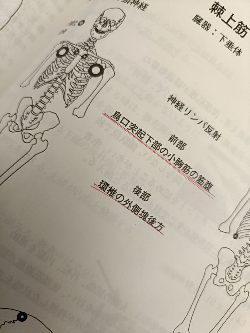 アプライドキネシオロジー　　 フローチャートマニュアル 下巻