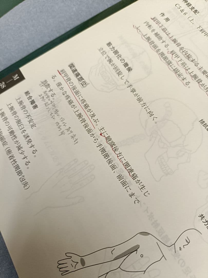 アプライドキネシオロジー　　 フローチャートマニュアル 下巻