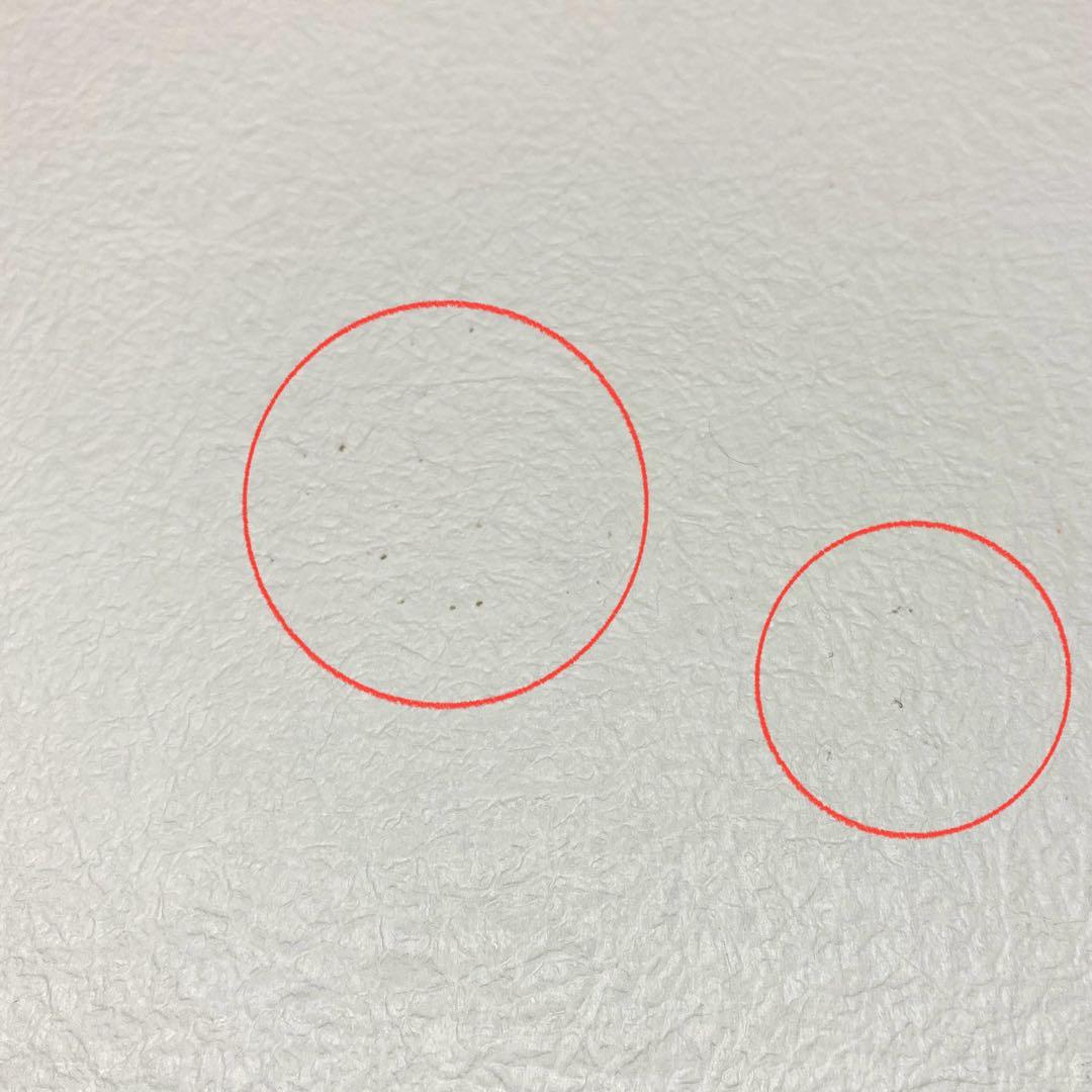 THE TULIP COMPLETE アンソロジーブックとライブCD セット