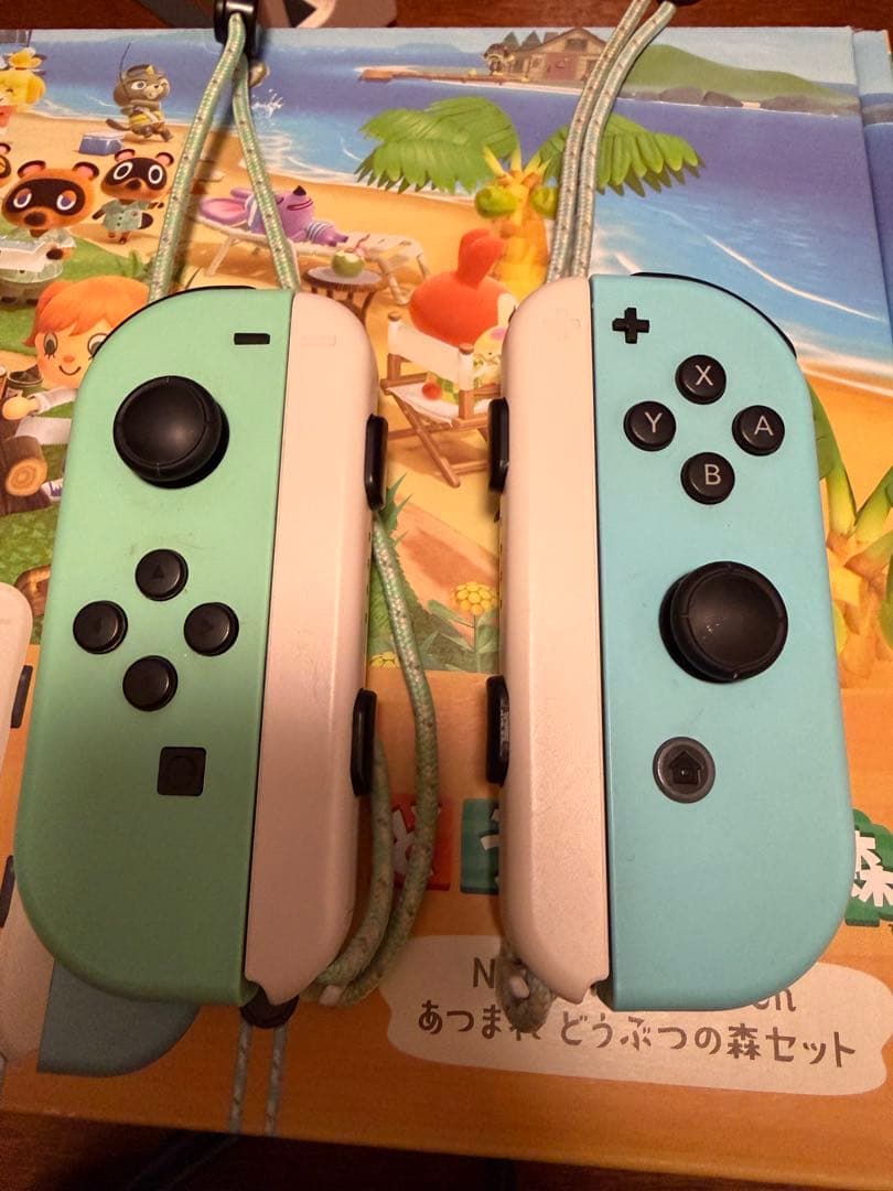 Nintendo Switch あつまれどうぶつの森セット】
