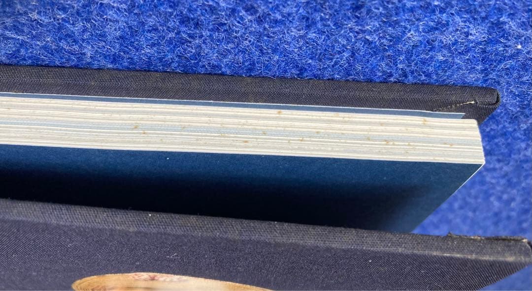 洋書 FOR THE LOVE DOLLS