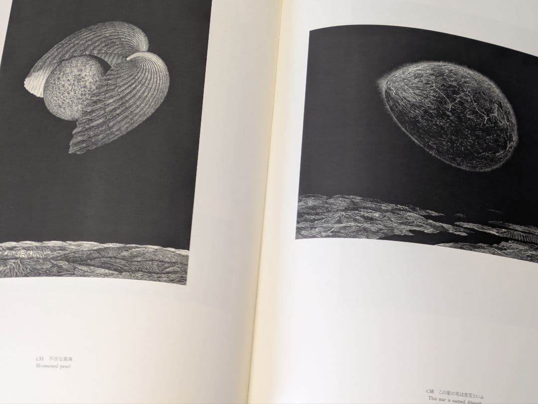 柄澤齊 木口木版画集 1971-1996 増補新版 サイン入