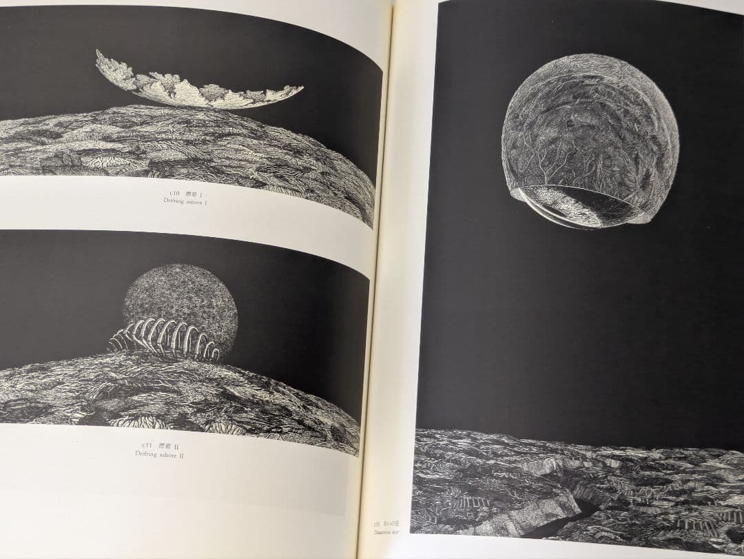 柄澤齊 木口木版画集 1971-1996 増補新版 サイン入