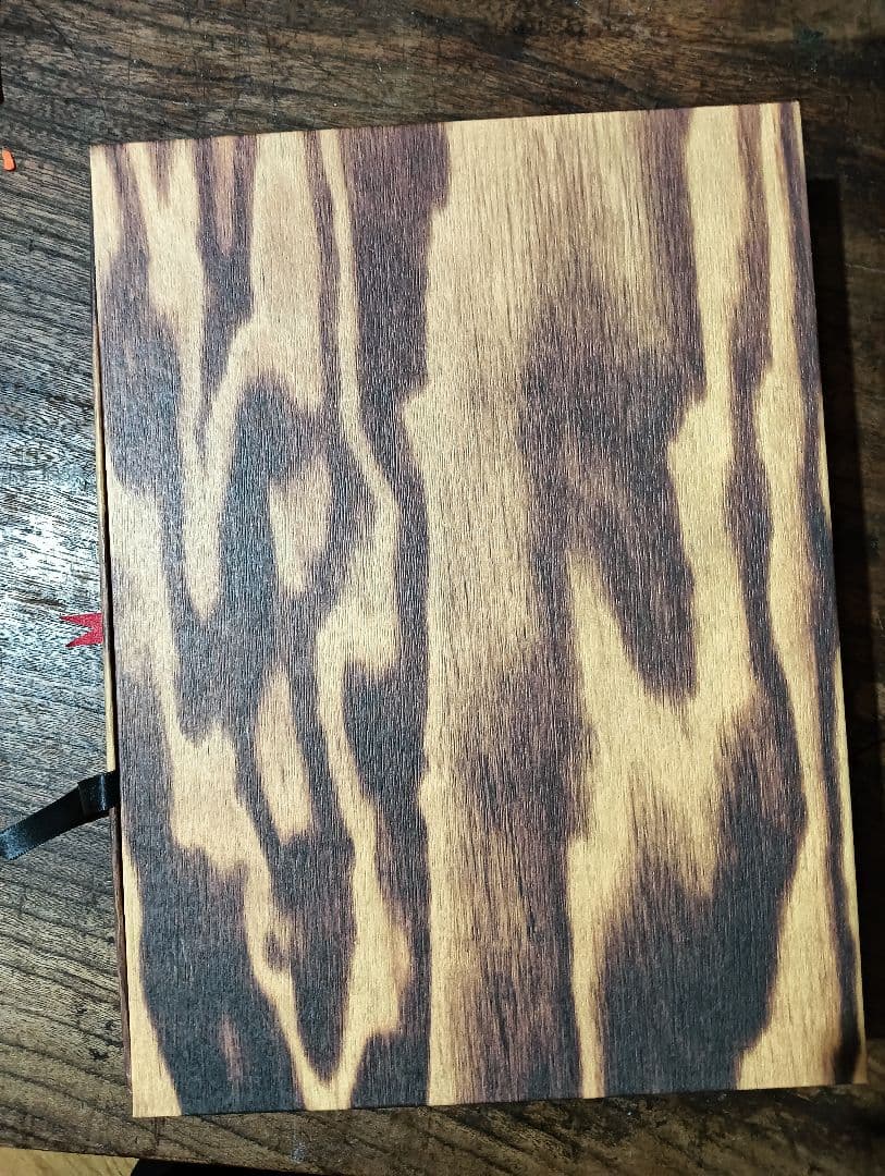 BOTTEGA VENETA by alec soth 書籍　アート集