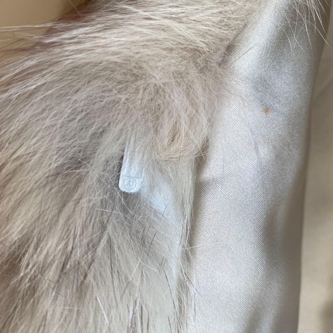 ブルーフォックスのコート