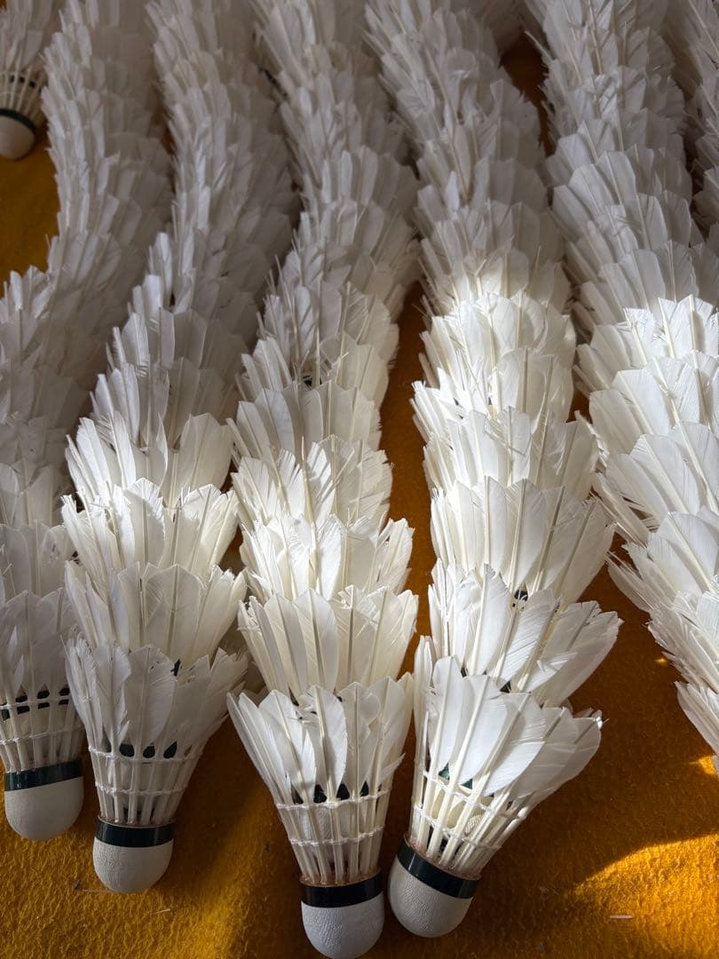 バドミントン　シャトル ノック用　360球セット　ヨネックス　ゴーセン