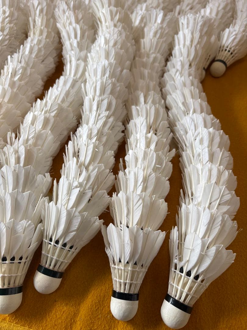 バドミントン　シャトル ノック用　360球セット　ヨネックス　ゴーセン