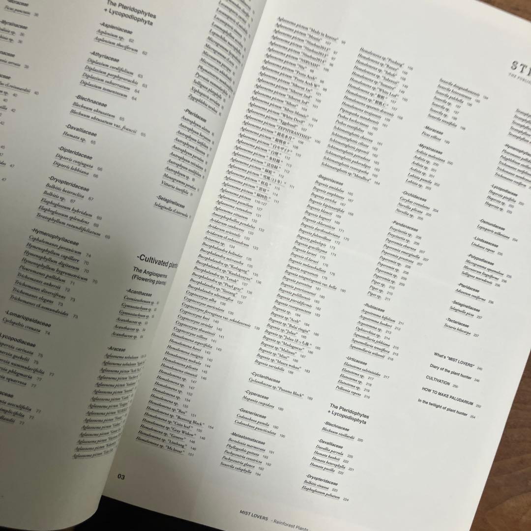 趣味・スポーツ・実用 MIST LOVERS -Rainforest Plants-