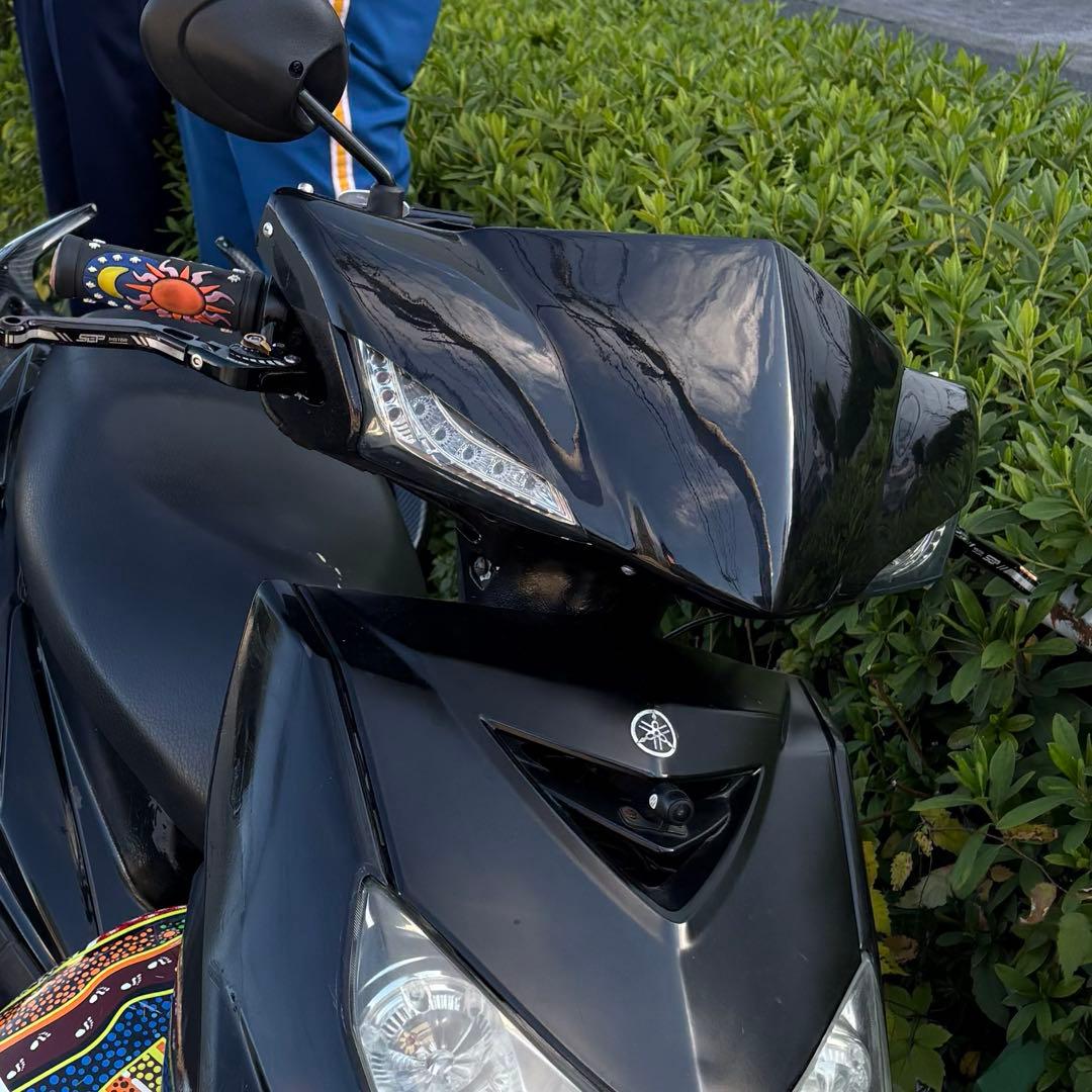 シグナス2型 M-DESIGN マスク