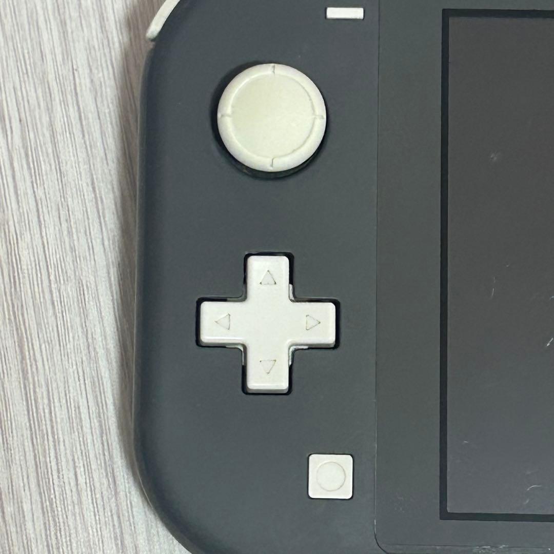 Switchライト グレー