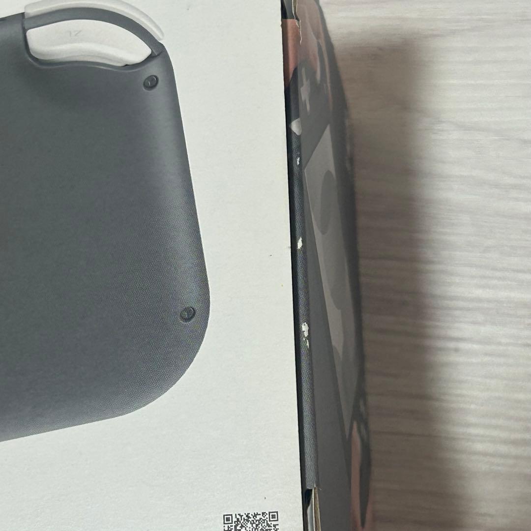 Switchライト グレー