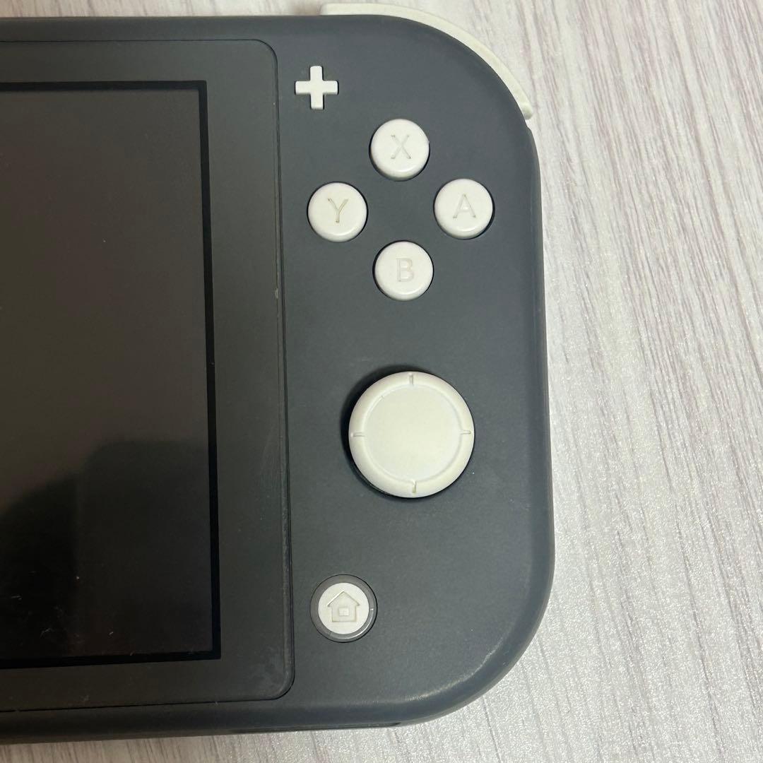 Switchライト グレー