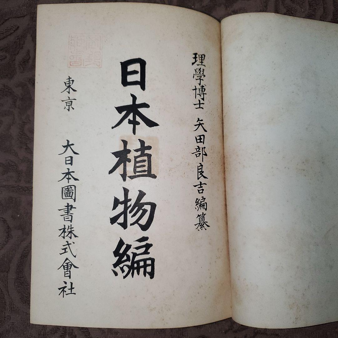 古書　希少本　日本植物編　矢田部良吉著