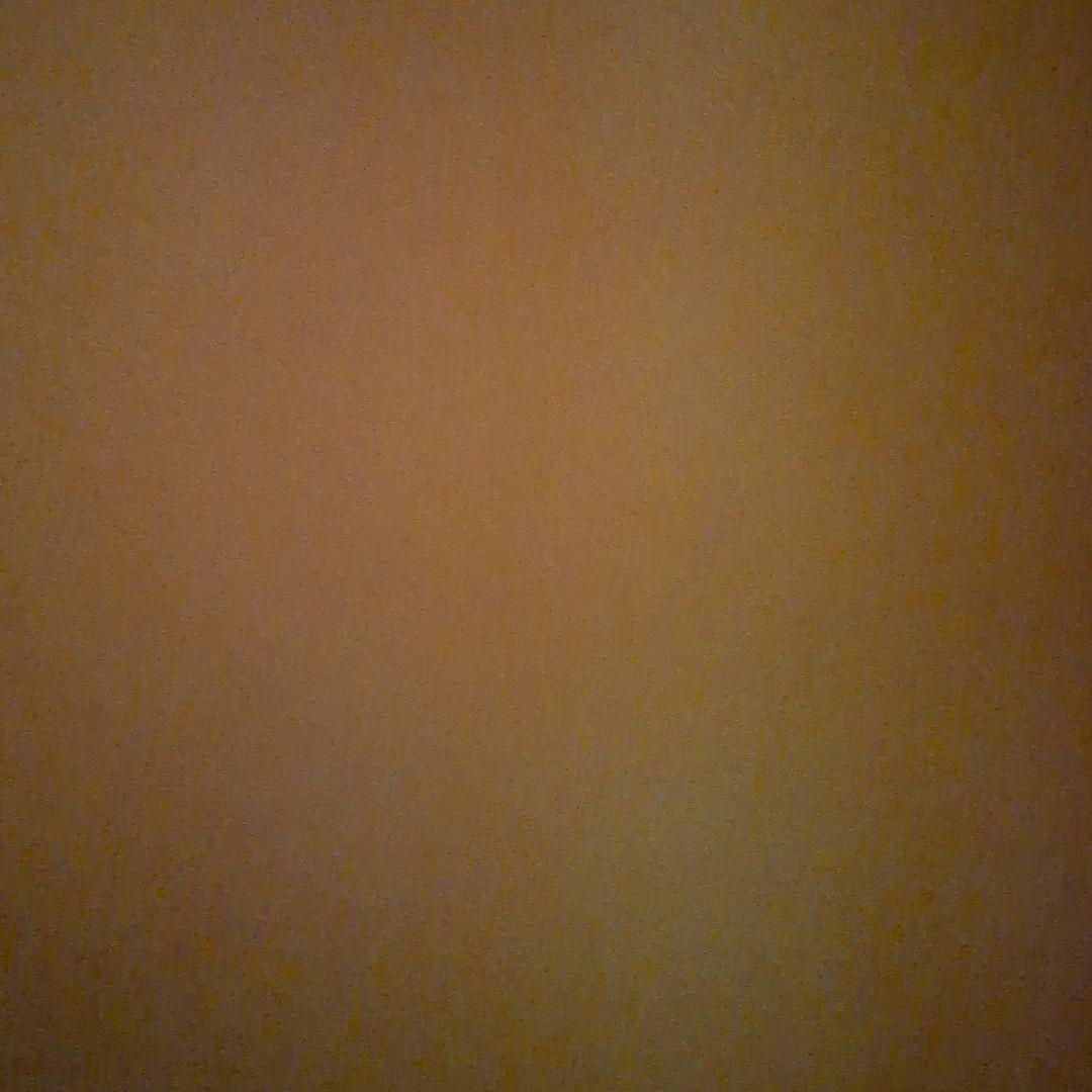 円盤 ベースハンガー コートハンガー ハンガーラック