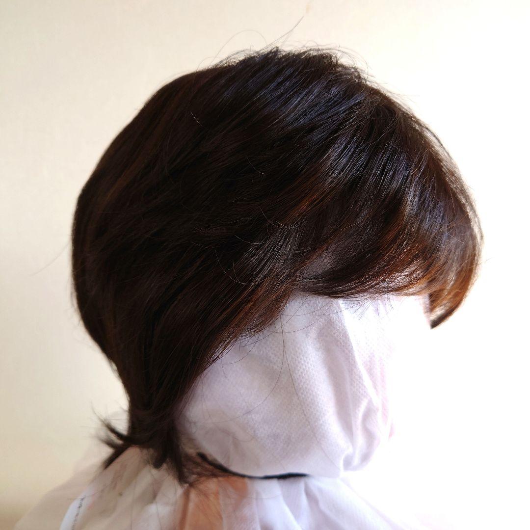 【新品未使用】レオンカEX-15 F2（ 栗色～栗黄色）ウイッグ