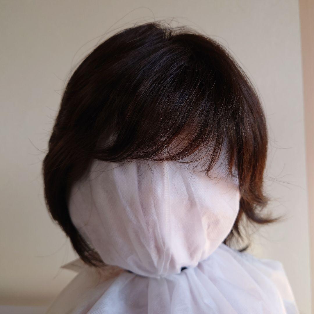 【新品未使用】レオンカEX-15 F2（ 栗色～栗黄色）ウイッグ