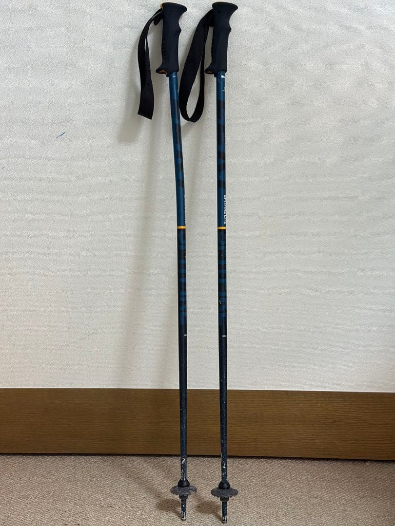 Volkl スキー 板 ジュニア　子供用　130cm 専用ケース付き