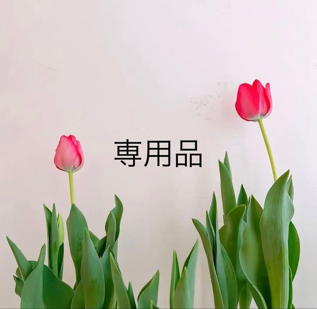 専用品です❣️
