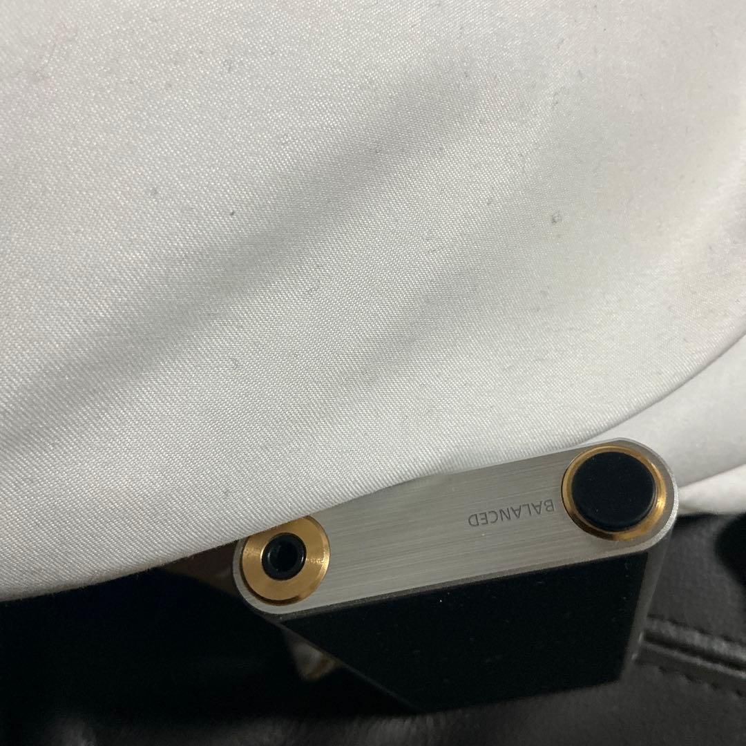 SONY ウォークマン NW-ZX300