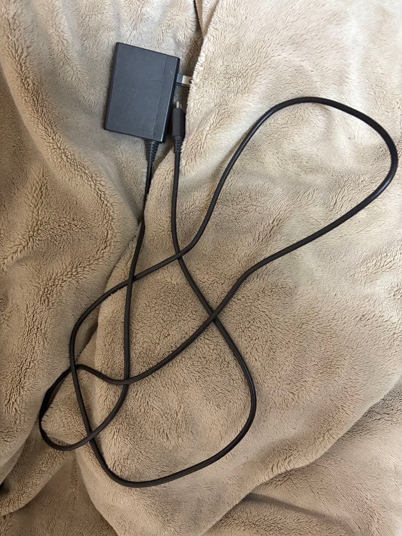 Nintendo Switch Lite ブルー 本体のみ