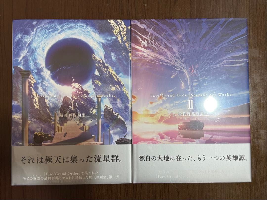 FGO 最終再臨画集 新品 2冊セット Fate/Grand Order