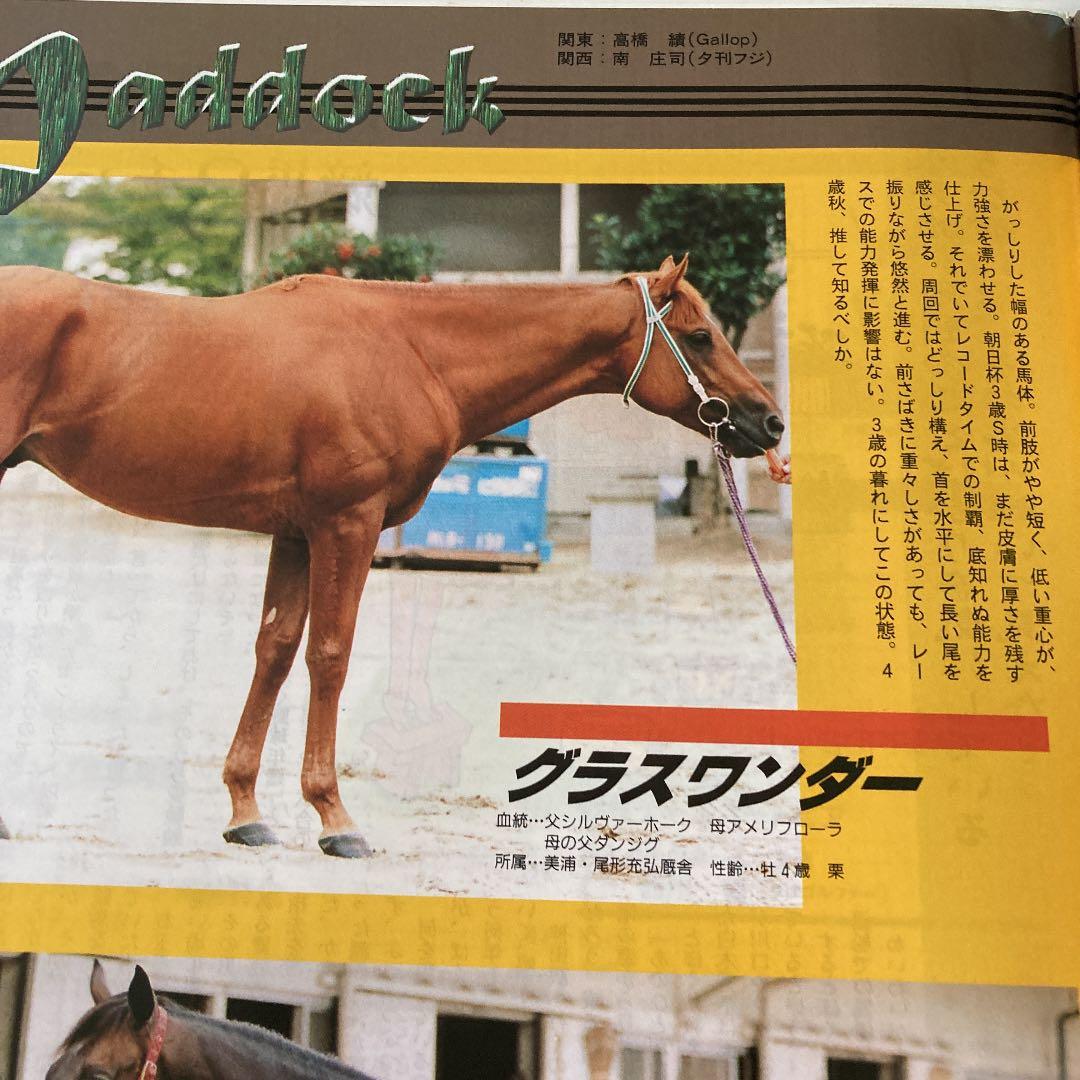 Gallopギャロップ　1998年10月毎日王冠　京都大賞典