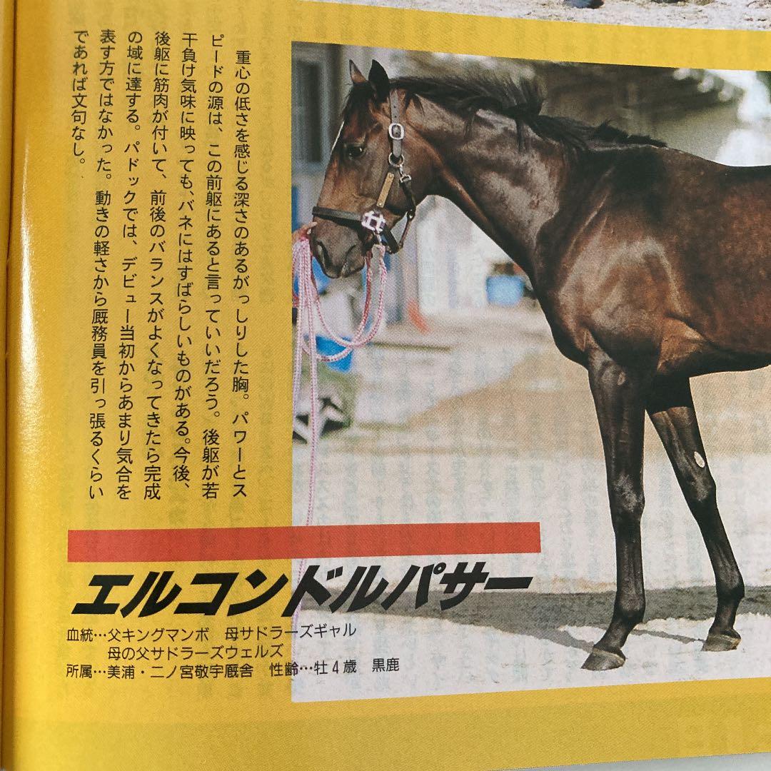 Gallopギャロップ　1998年10月毎日王冠　京都大賞典