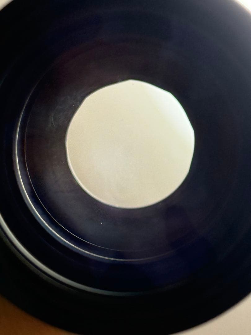 SIGMA APO 300mm F4 Macro キャノン EFマウント