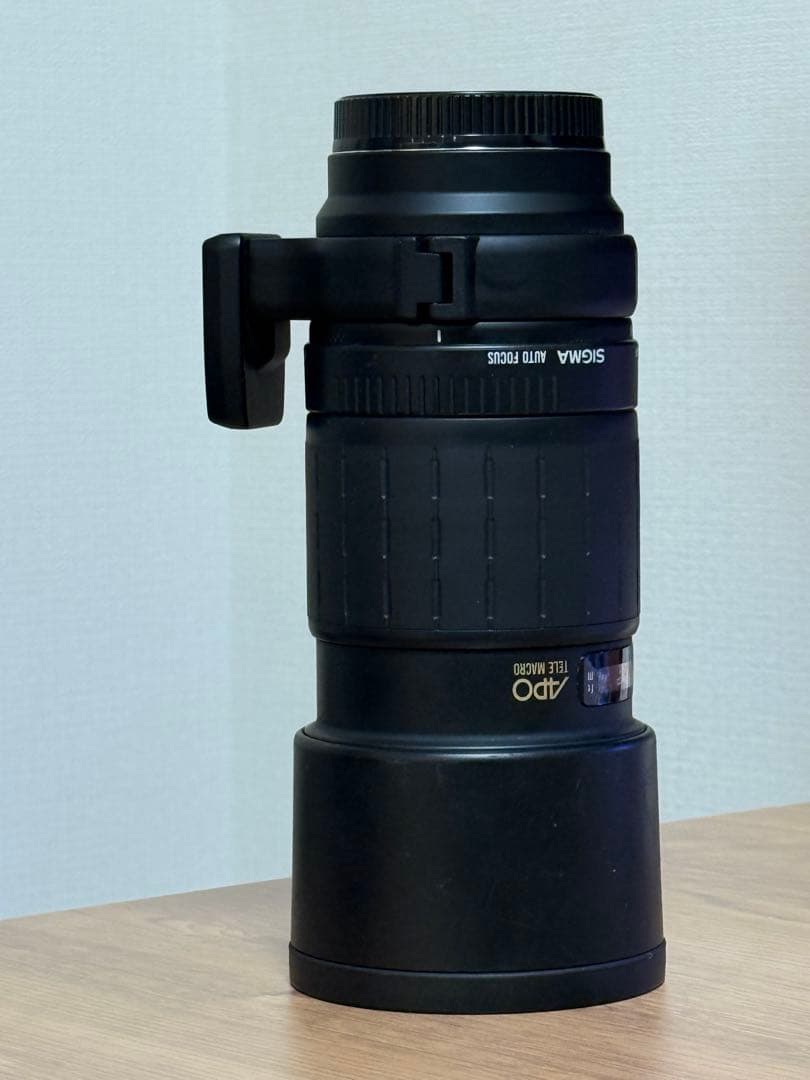 SIGMA APO 300mm F4 Macro キャノン EFマウント