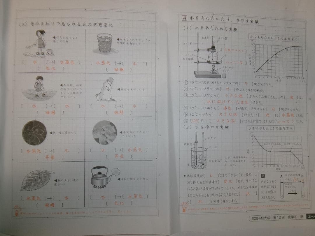 サピックス＊６年＊理科／知識の総完成・全１９回完全版＊赤シート対応／入試直前暗記