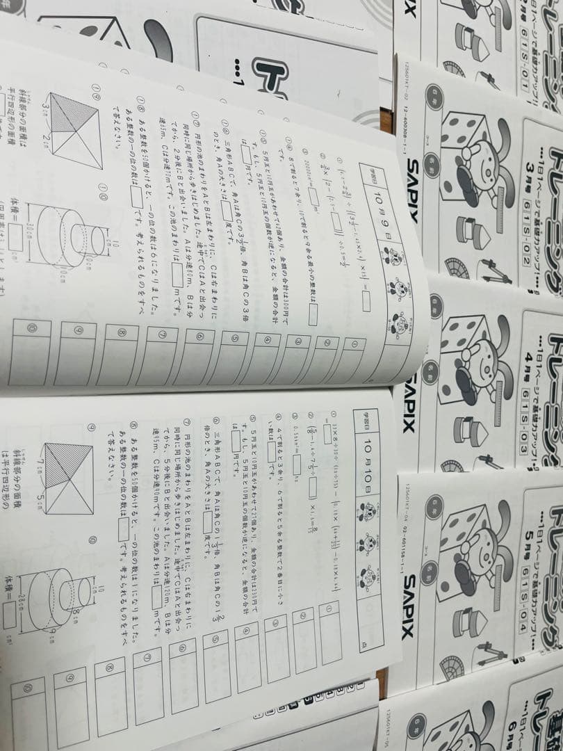 サピックス　算数　基礎力トレーニング　6年生