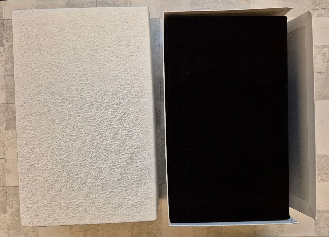 PILOT パイロット 万年筆 研出蒔絵 黒蜻蛉 蜻蛉塗 中字